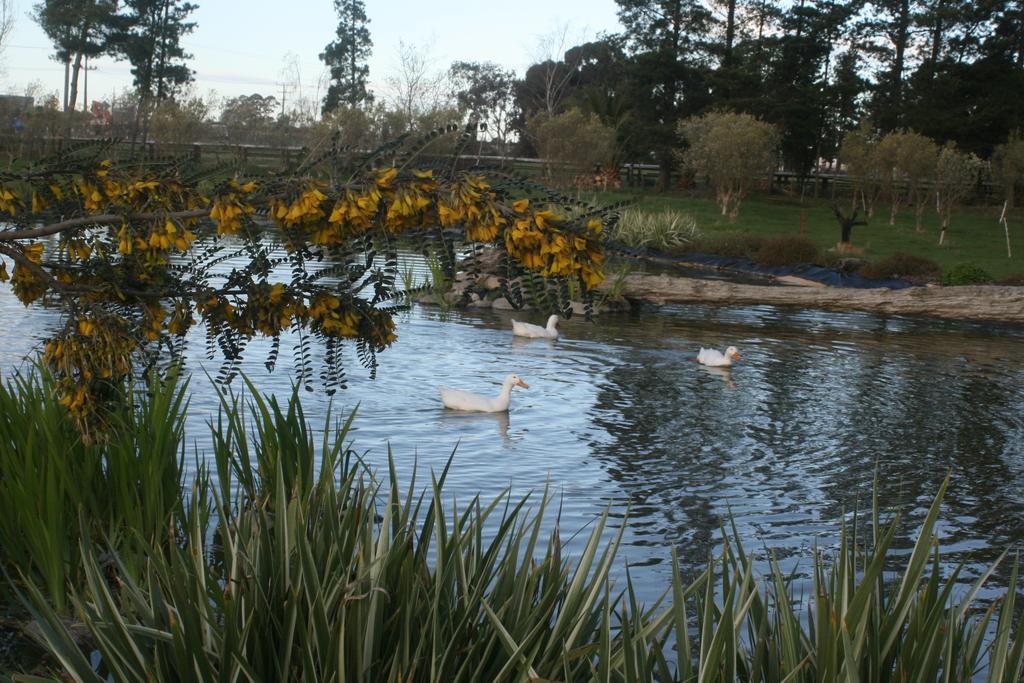The Peppertree Luxury Accommodation Blenheim Luaran gambar